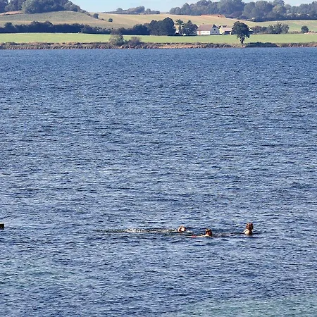 Apartman 6 Person On A In Fåborg